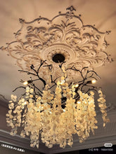 Ceiling Rose-F089SET