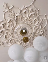 Ceiling Rose-F089SET